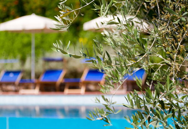 Relais de Ricci: Autumn, Pool, Spring, Summer