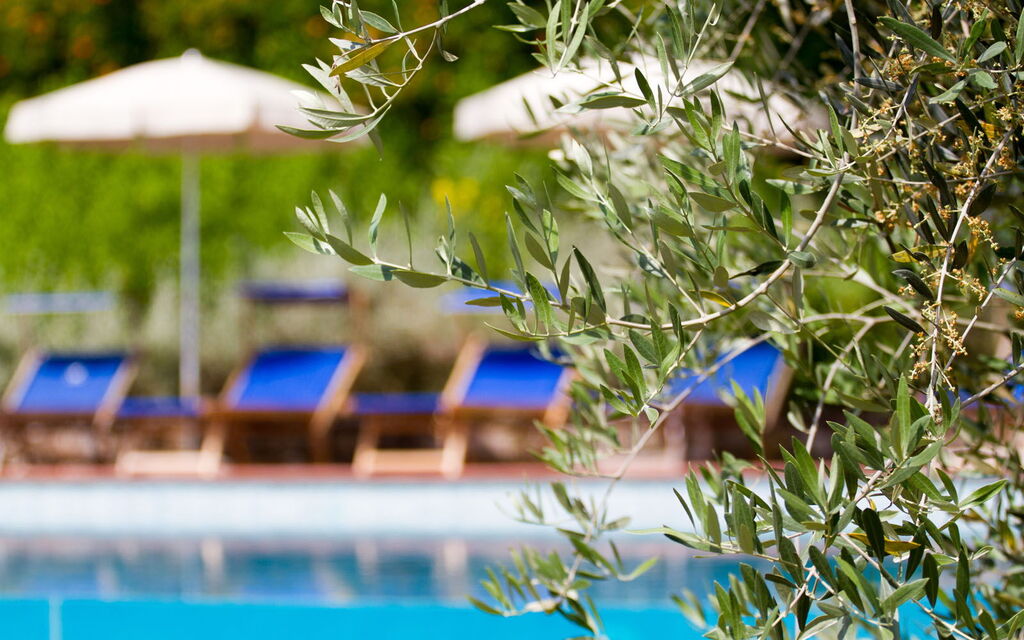 Relais de Ricci: Autunno, Estate, Piscina, Primavera