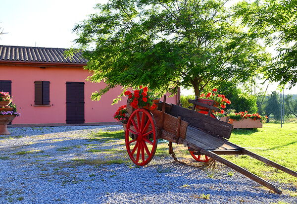 Appartamento Ibisco Seaside and Pool: Autunno, Estate, Esterni, Primavera