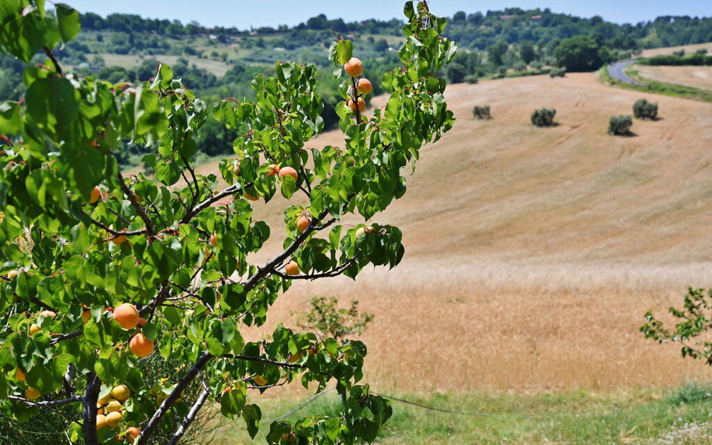 Casale Il Rondò, Private Pool, Città della Pieve: Autumn, Scenic View, Spring, Summer