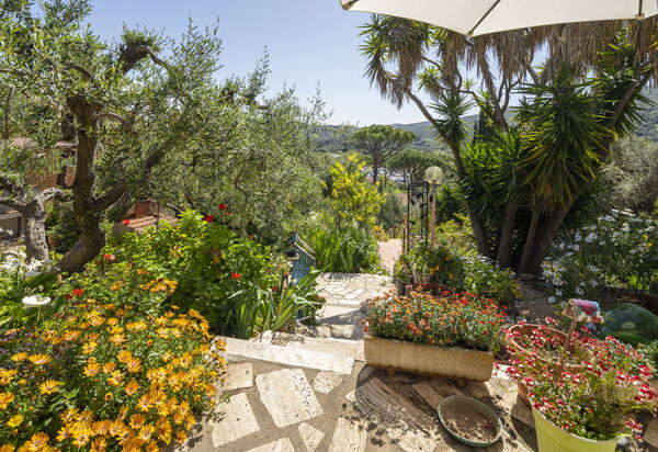 La Torre sul Ponte, Seaview, Garden: Autumn, Garden, Spring, Summer