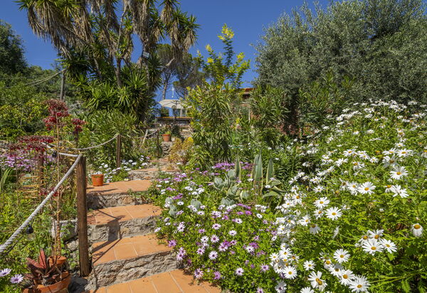 La Torre sul Ponte, Seaview, Garden: Autumn, Garden, Spring, Summer