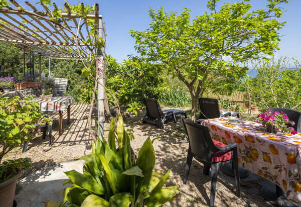 La Torre sul Ponte, Seaview, Garden: Autumn, Garden, Spring, Summer