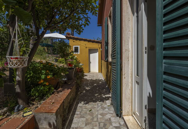 La Torre sul Ponte, Seaview, Garden: Autumn, Garden, Spring, Summer