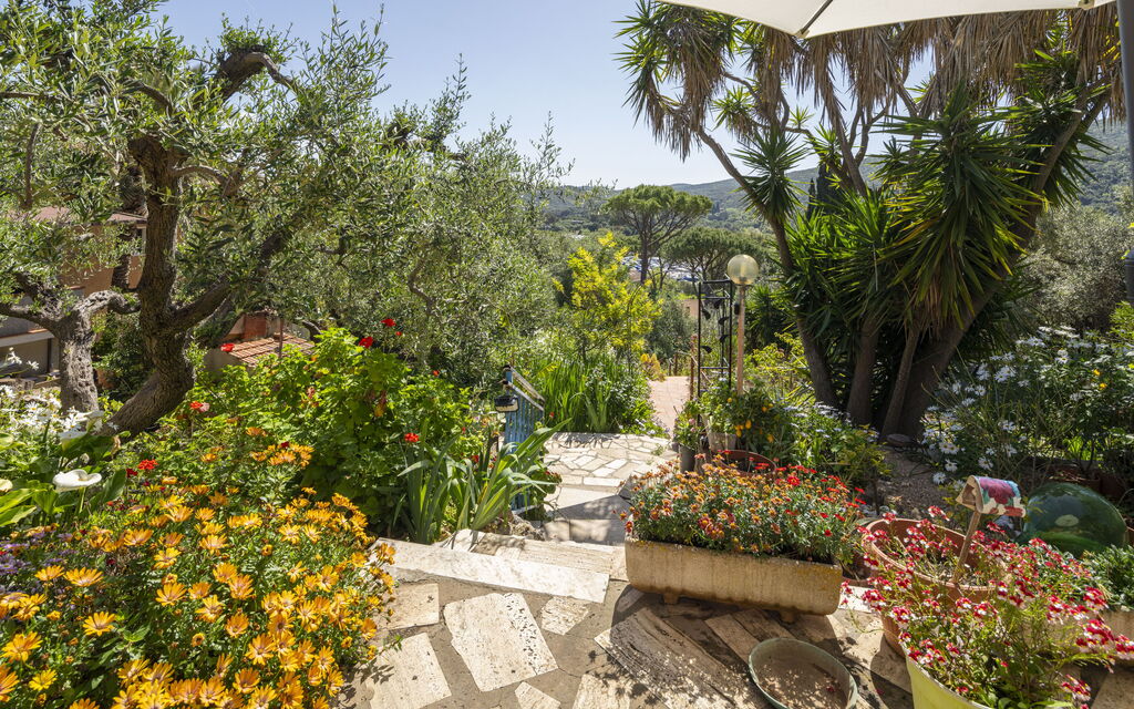 La Torre sul Ponte, Seaview, Garden: Autunno, Estate, Giardino, Primavera