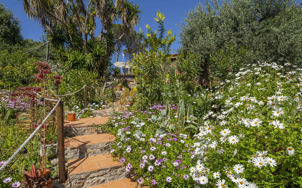 La Torre sul Ponte, Seaview, Garden: Autunno, Estate, Giardino, Primavera