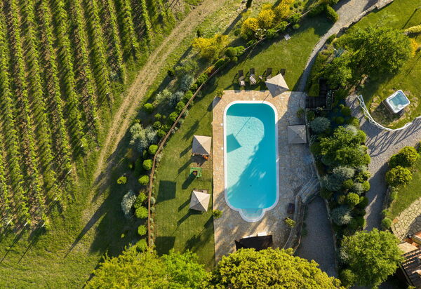 Villa la Cerbaina: Esterni, Piscina