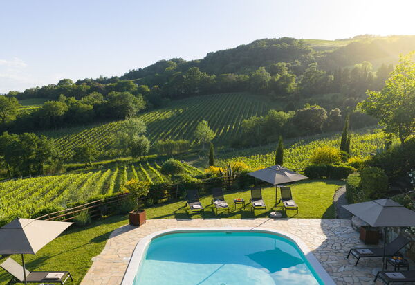 Villa la Cerbaina: Esterni, Piscina, Vista Panoramica