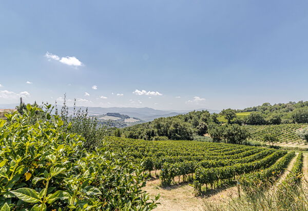 Villa la Cerbaina: Esterni, Vista Panoramica