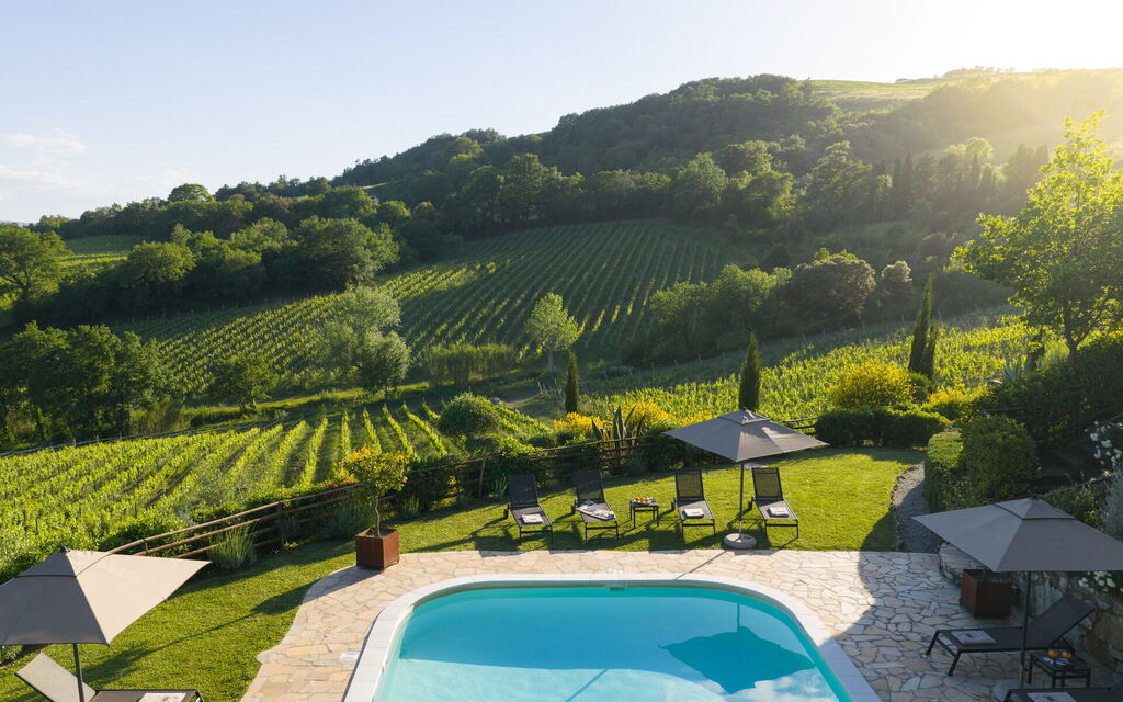 Villa la Cerbaina: Esterni, Piscina, Vista Panoramica