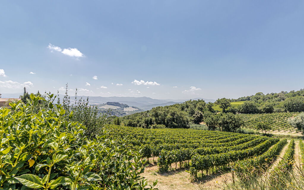 Villa la Cerbaina: Building Exterior, Scenic View