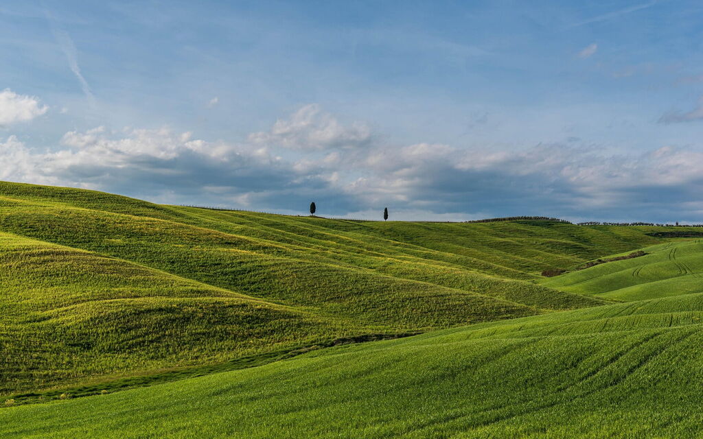 Podere le Lune with Pool, San Gimignano: all'aperto, Attività, Autunno, Estate, Primavera, Vista Panoramica