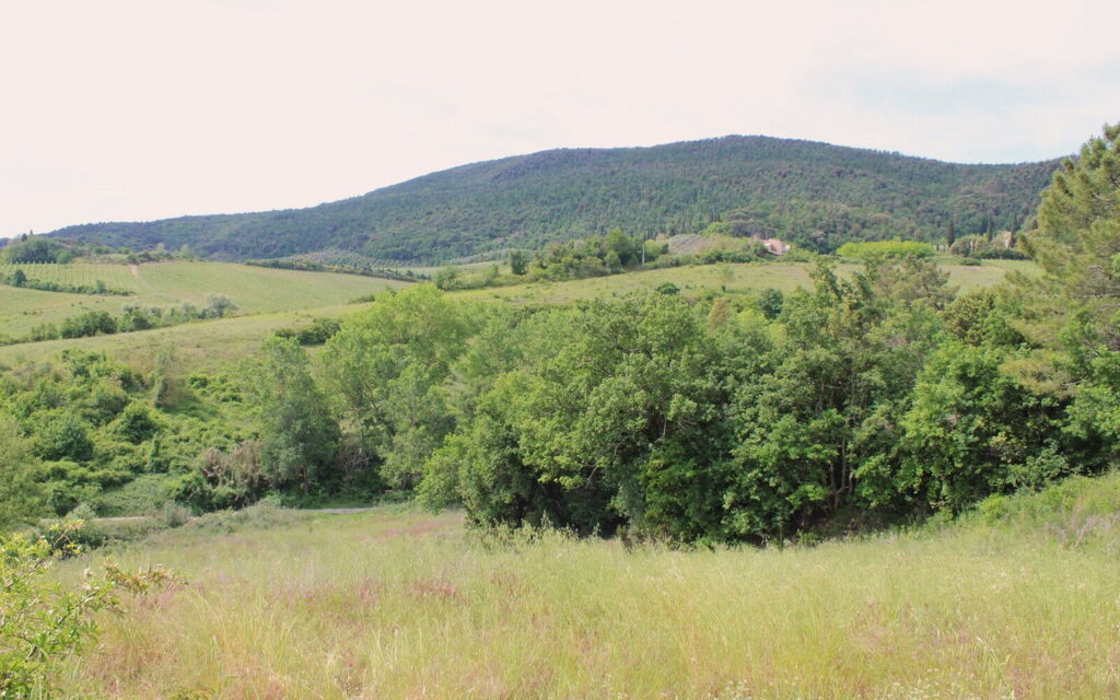 Podere le Lune with Pool, San Gimignano: Autunno, Estate, Primavera, Vista Panoramica