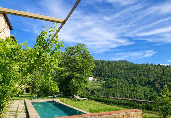 Villa Il Casalino, Florentine Hills with Pool: Autumn, Pool, Spring, Summer