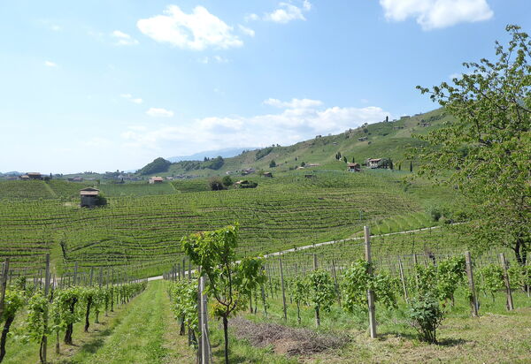 Villa Dolce Bacio, Pool and Spa, Valdobbiadene: Autunno, Estate, Primavera, Vista Panoramica