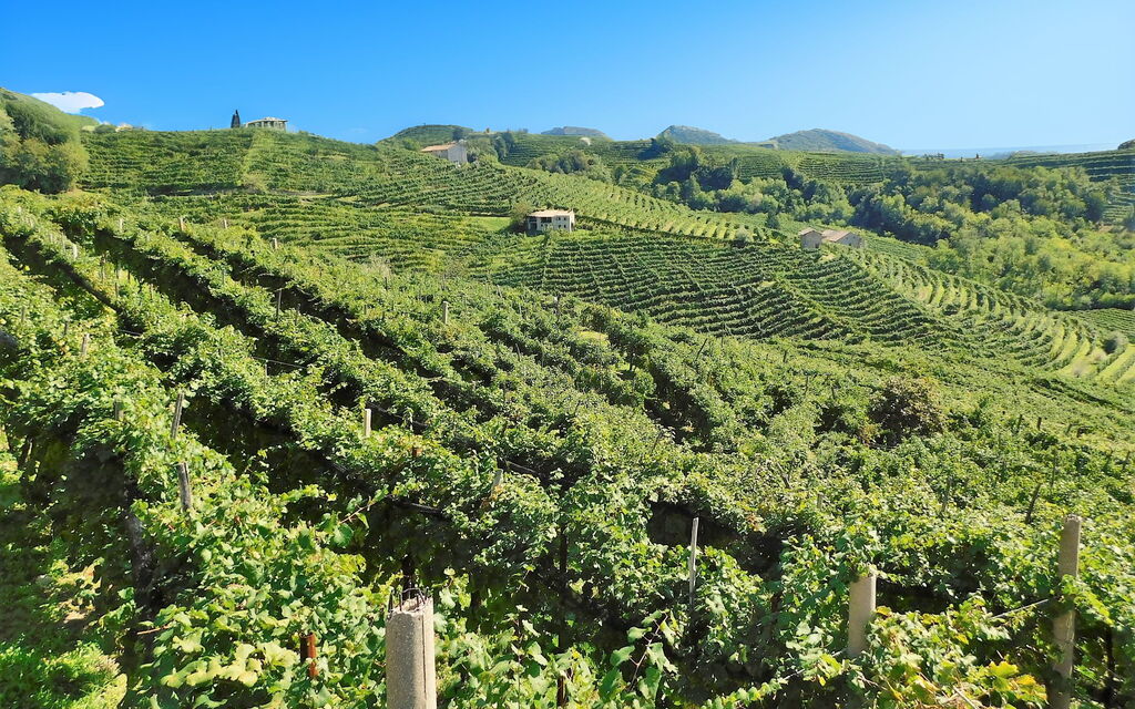 Villa Dolce Bacio, Pool and Spa, Valdobbiadene: Autunno, Estate, Primavera, Vista Panoramica
