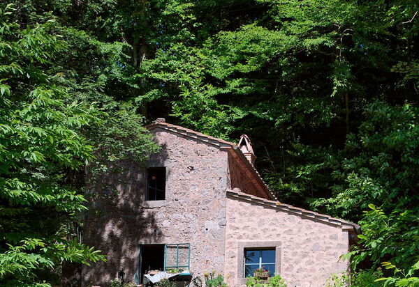 Il Gallinaio, Vivo D'Orcia: Autumn, Garden, Spring, Summer