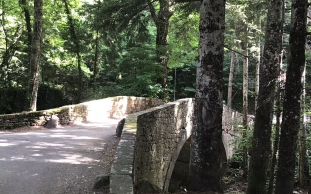 Il Gallinaio, Vivo D'Orcia: Autunno, Estate, Esterni, Primavera