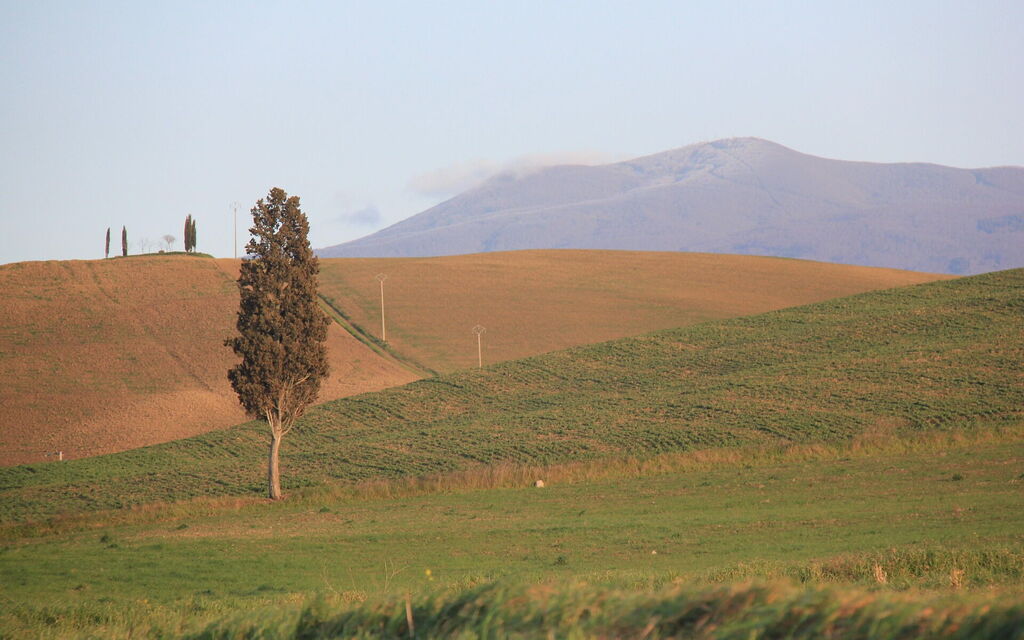 Il Gallinaio, Vivo D'Orcia: all'aperto, Attività, Autunno, Estate, Primavera