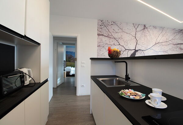 Villa Dolce Bosco with Pool, Valdobbiadene: Autumn, Kitchen, Spring, Summer