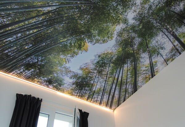 Villa Dolce Bosco with Pool, Valdobbiadene: Autumn, Bedroom, Spring, Summer