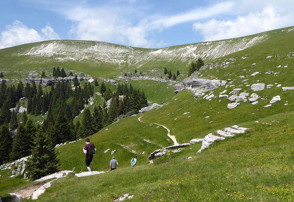 Villa Dolce Bosco with Pool, Valdobbiadene: Activities, Autumn, Outdoor, Spring, Summer