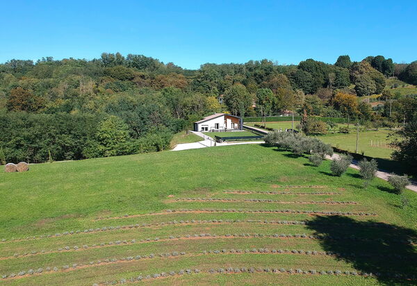 Villa Dolce Bosco with Pool, Valdobbiadene: Autumn, Scenic View, Spring, Summer