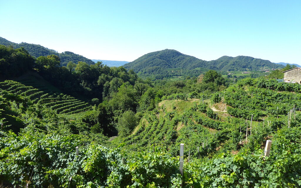 Villa Dolce Bosco with Pool, Valdobbiadene: all'aperto, Attività, Autunno, Estate, Primavera