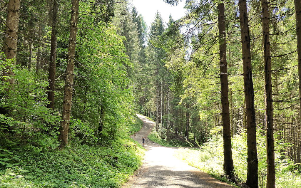 Villa Dolce Bosco with Pool, Valdobbiadene: all'aperto, Attività, Autunno, Estate, Primavera