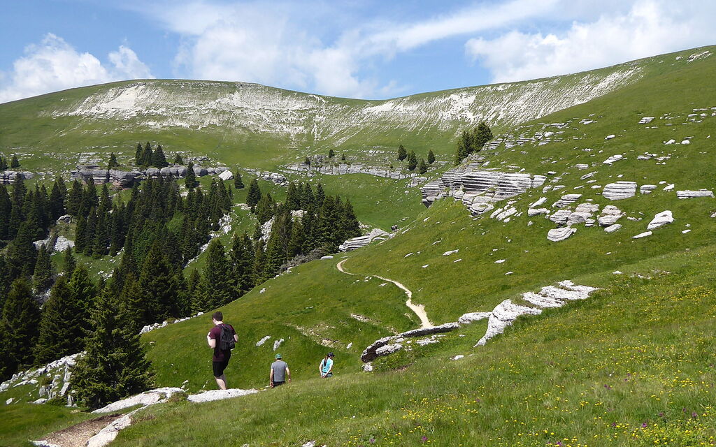 Villa Dolce Bosco with Pool, Valdobbiadene: all'aperto, Attività, Autunno, Estate, Primavera