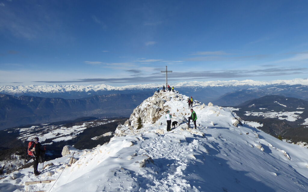 Casa Tomà Mountain View Cortina: all'aperto, Attività, Autunno, Estate, Inverno, Primavera