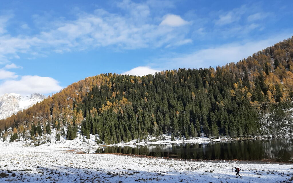 Casa Tomà Mountain View Cortina: all'aperto, Attività, Autunno, Estate, Inverno, Primavera