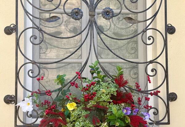 Villa Elisa: Esterni