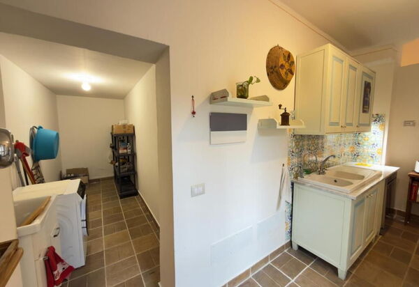 Villa Montepulciano Vineyard: Autumn, Other Room, Spring, Summer