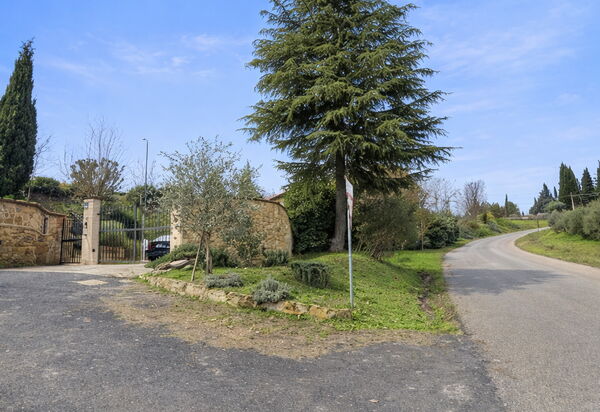 Villa Montepulciano Vineyard: Autumn, Outdoor, Spring, Summer