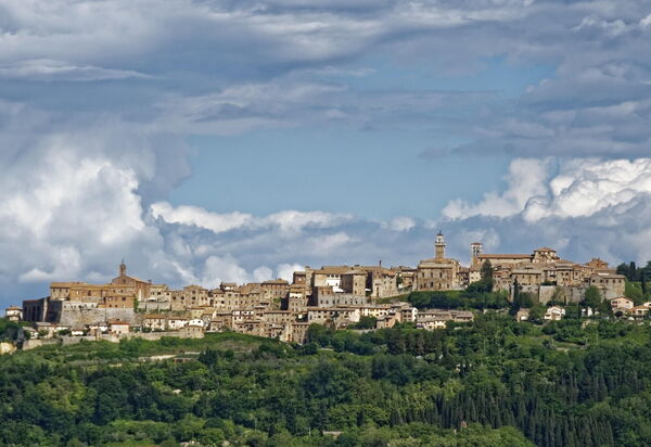 Villa Montepulciano Vineyard: Activities, Autumn, Outdoor, Spring, Summer