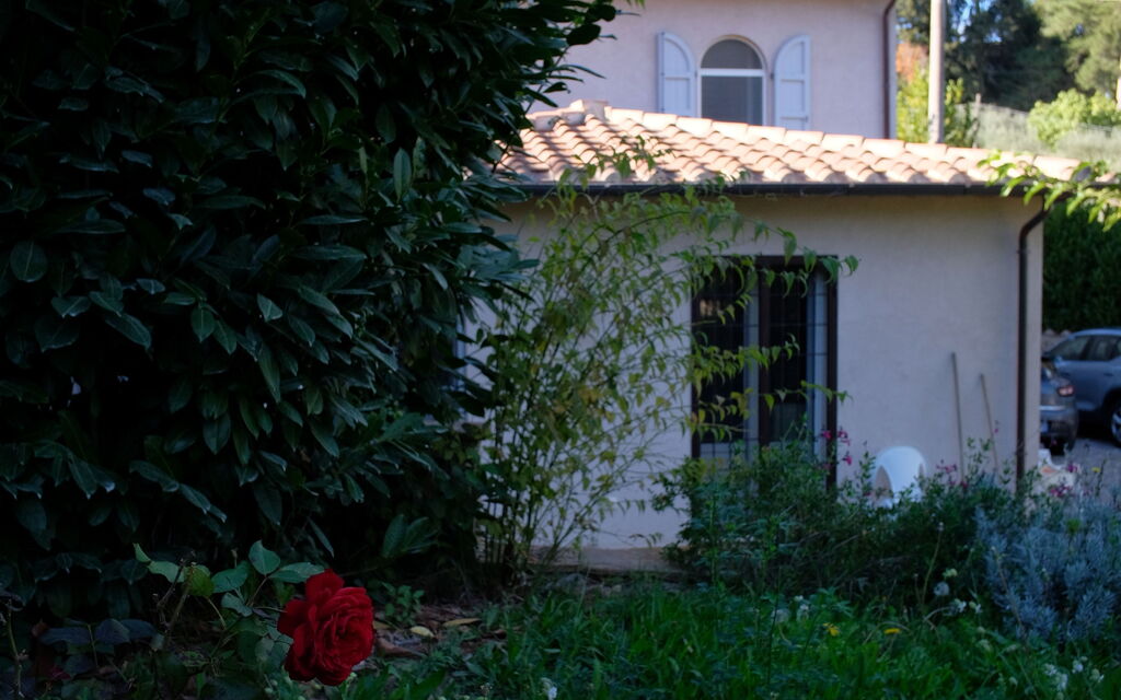 Villa Montepulciano Vineyard: Autumn, Garden, Spring, Summer