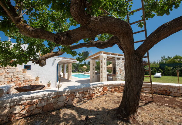Trulli Valle D'Itria - Martina Franca: all'aperto, Autunno, Estate, Esterni, Giardino, Inverno, Piscina, Primavera