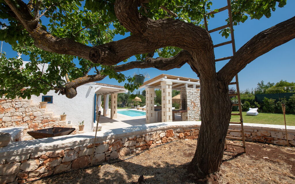 Trulli Valle D'Itria - Martina Franca: all'aperto, Autunno, Estate, Esterni, Giardino, Inverno, Piscina, Primavera