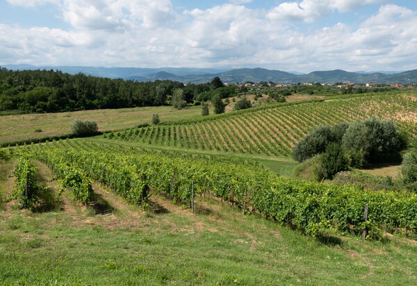 Agriturismo le Due Querce: all'aperto, Autunno, Estate, Esterni, Inverno, Primavera, Vista Panoramica