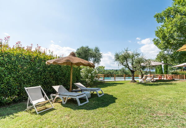 Agriturismo le Due Querce: all'aperto, Autunno, Estate, Esterni, Giardino, Inverno, Piscina, Primavera