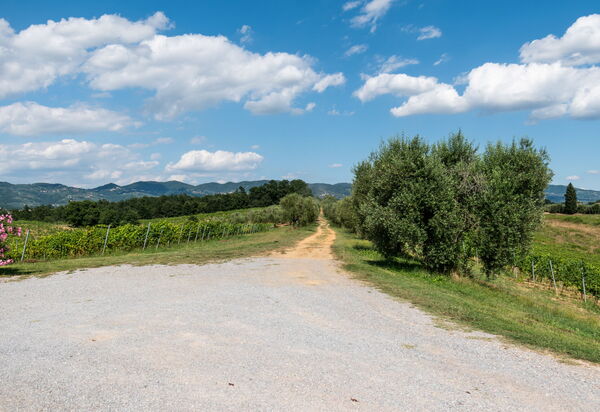Agriturismo le Due Querce: all'aperto, Autunno, Estate, Esterni, Inverno, Primavera, Vista Panoramica