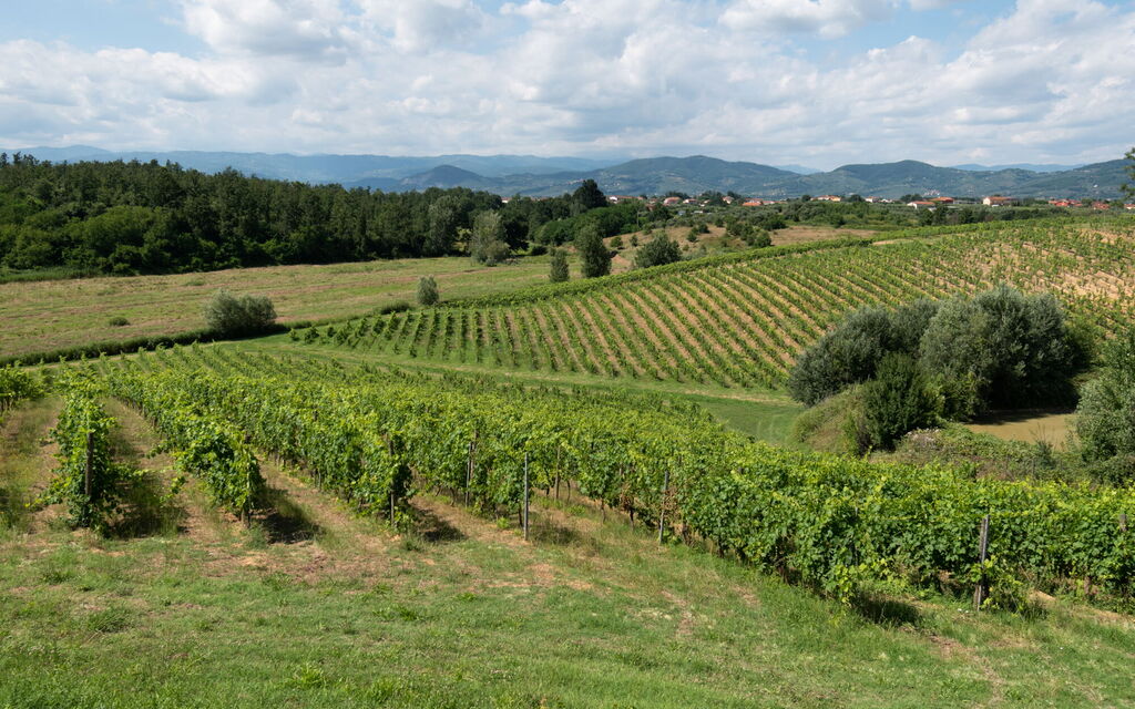Agriturismo le Due Querce: Autumn, Building Exterior, Outdoor, Scenic View, Spring, Summer, Winter