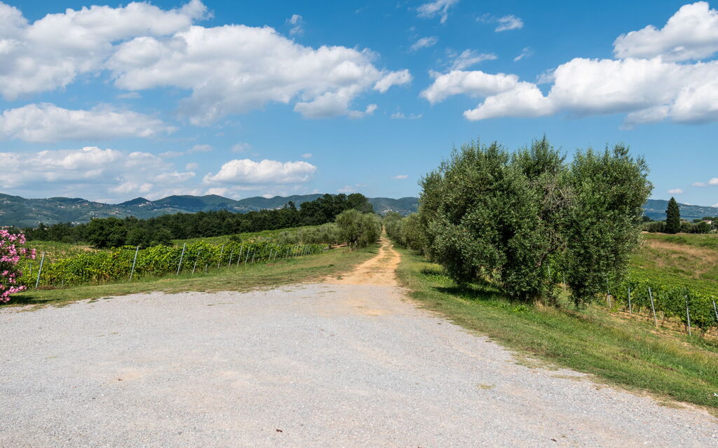 Agriturismo le Due Querce: Autumn, Building Exterior, Outdoor, Scenic View, Spring, Summer, Winter
