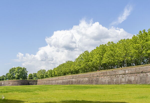Villa Il Torrazzo, Vista Mare, Massarosa: all'aperto, Attività, Autunno, Estate, Primavera