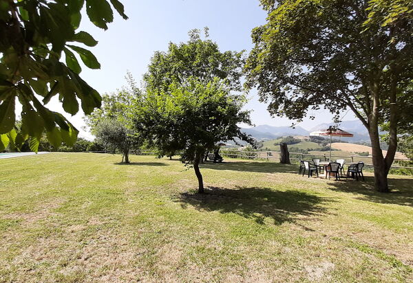 Villa Felice, Private Pool and Hills: all'aperto, Autunno, Estate, Esterni, Giardino, Inverno, Primavera