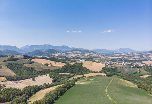 Villa Felice, Private Pool and Hills: all'aperto, Autunno, Estate, Esterni, Inverno, Primavera, Vista Panoramica