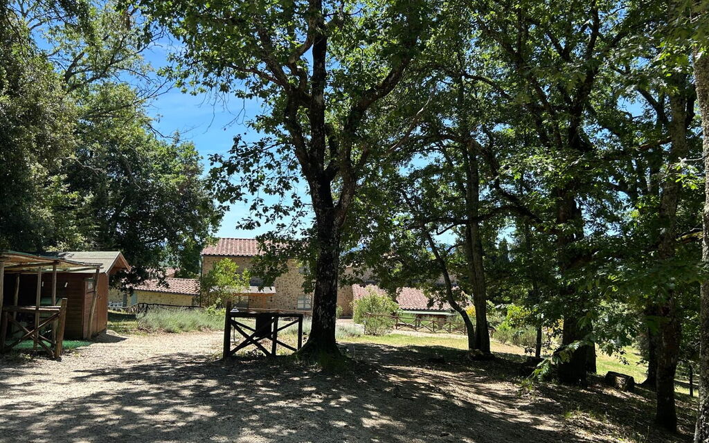 Casa Stella Serena, Casole D'Elsa, Pool: Autumn, Garden, Spring, Summer