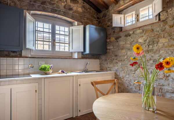 Maison Badia a Passignano: Autumn, Kitchen, Living Room, Spring, Summer