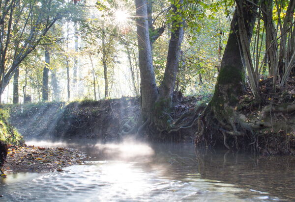 La Casetta dei Palù, Valdobbiadene: Activities, Autumn, Outdoor, Spring, Summer, Winter